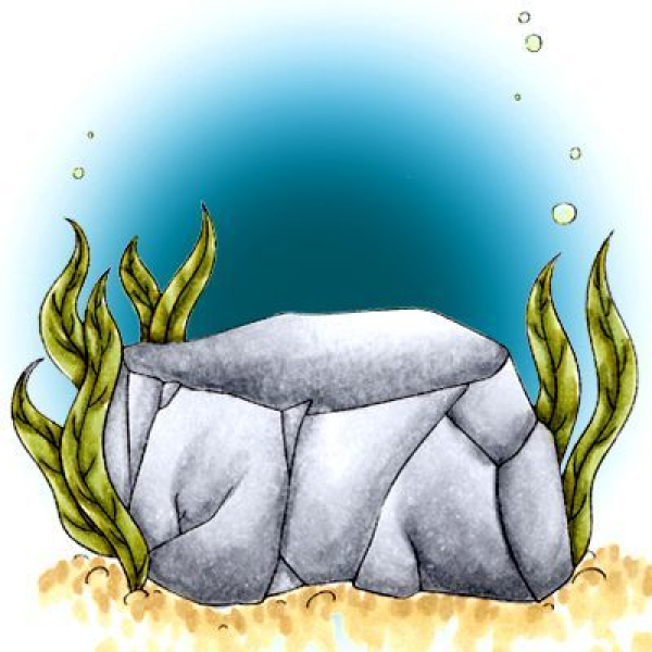 Rock Clipart Underwater and other clipart images on Cliparts pub™