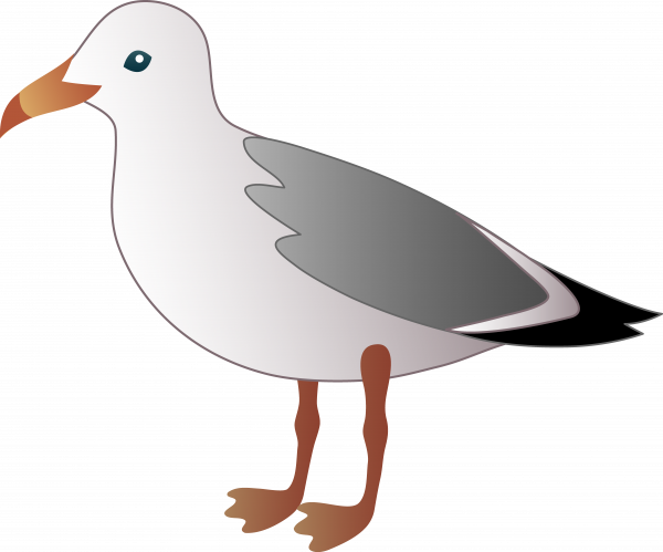 Albatross Clipart Animated and other clipart images on Cliparts pub™