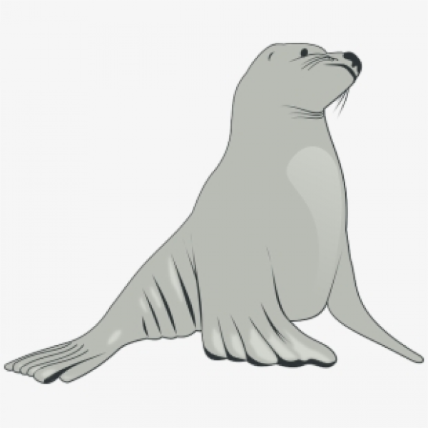 Seal Clipart Transparent Background and other clipart images on