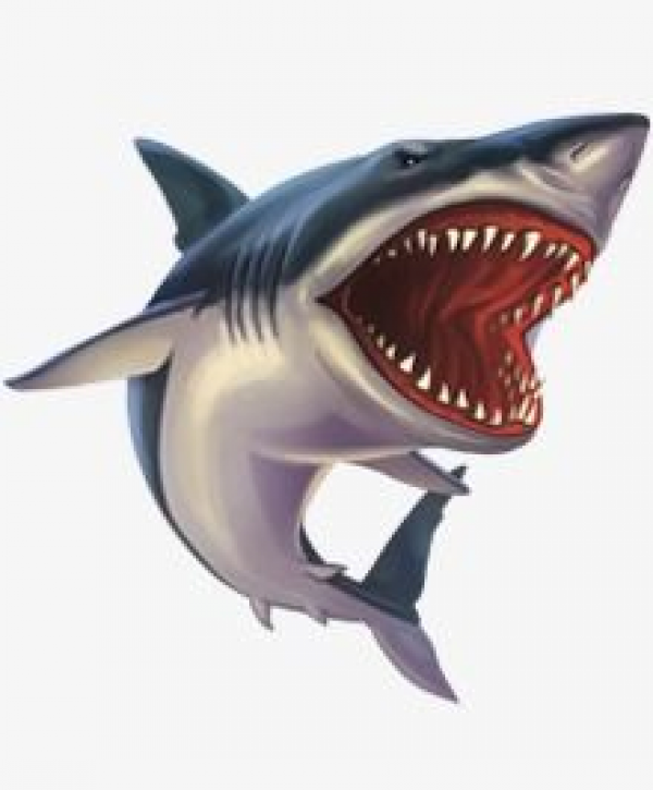 Shark Clipart Megalodon And Other Clipart Images On Cliparts Pub™