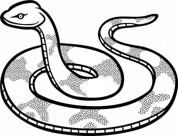 Snake Clipart Outline and other clipart images on Cliparts pub™