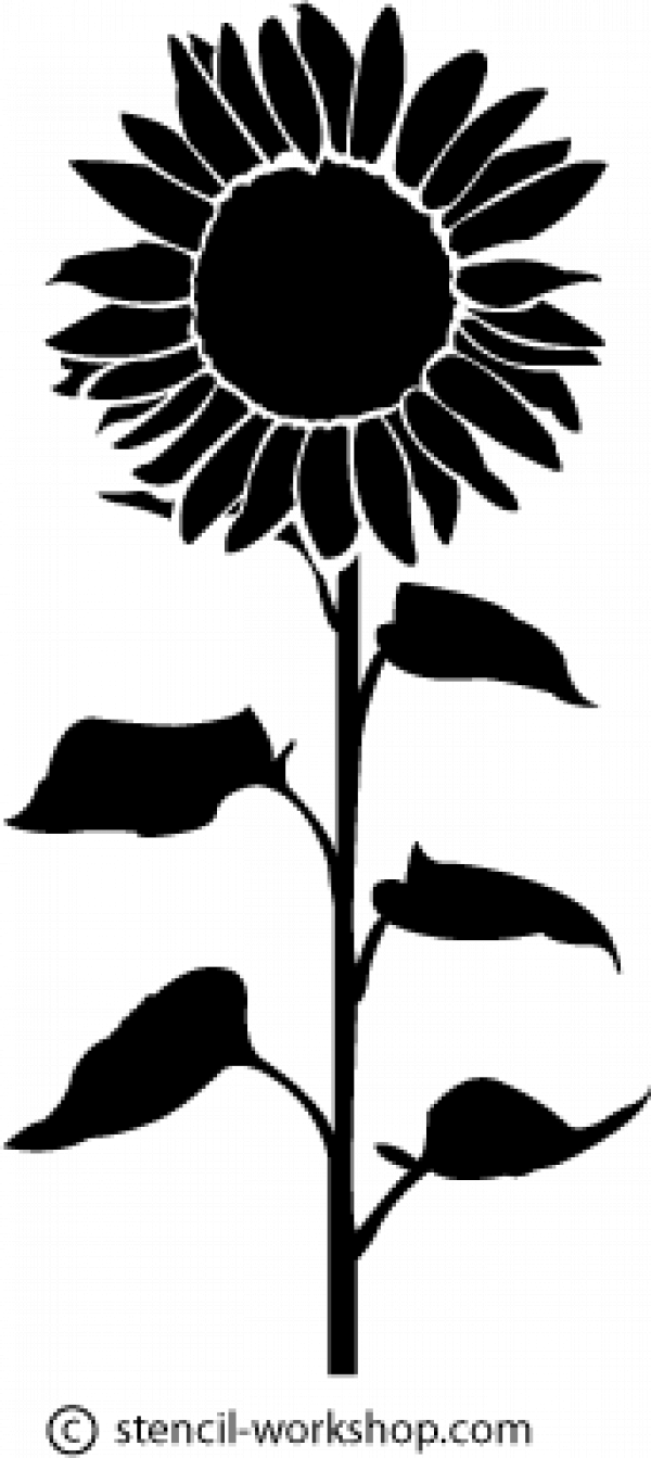 Sunflower stencil tattoo. 