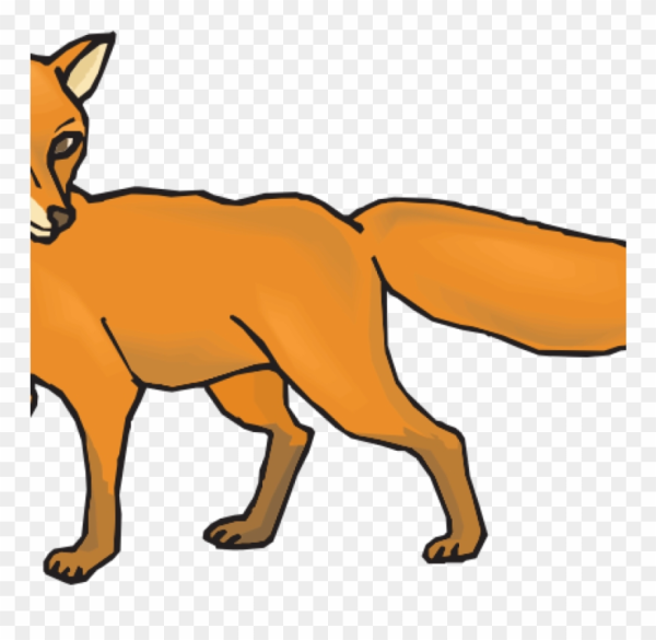 Tail Clipart Animal and other clipart images on Cliparts pub™