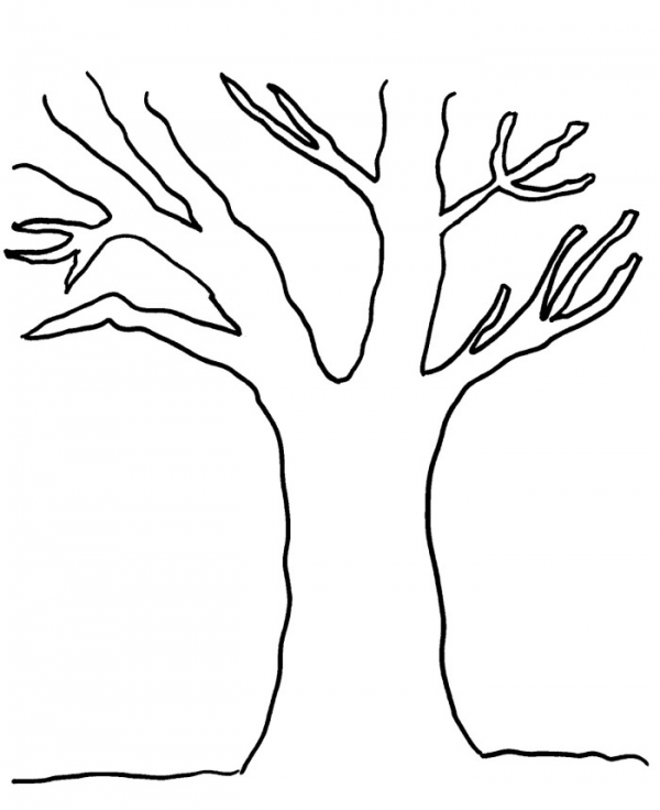 Tree Trunk Clipart Outline and other clipart images on Cliparts pub™