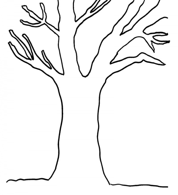 Tree Trunk Clipart Outline and other clipart images on Cliparts pub™