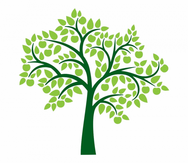 Family Tree Clipart Green and other clipart images on Cliparts pub™