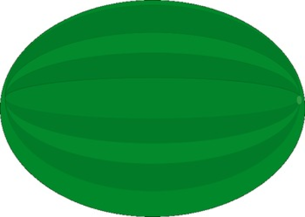 Watermelon Clipart Oval And Other Clipart Images On Cliparts Pub™