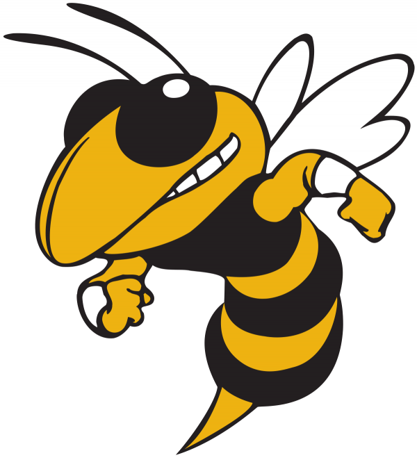 Yellow Jacket Clipart Transparent and other clipart images on Cliparts pub™